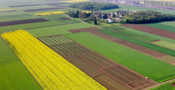 
          Semer aujourd’hui l’agriculture de demain