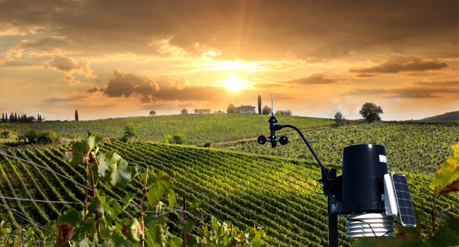 
           Limiter le gaspillage alimentaire pour une agriculture de demain 