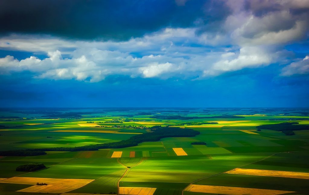 
           Adopter des choix alimentaires moins impactant pour la planète