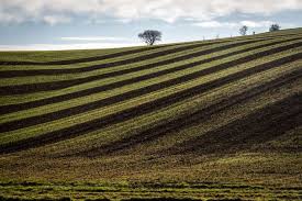 
          Les sols agricoles ne dorment pas en l’hiver de culture d’hiver