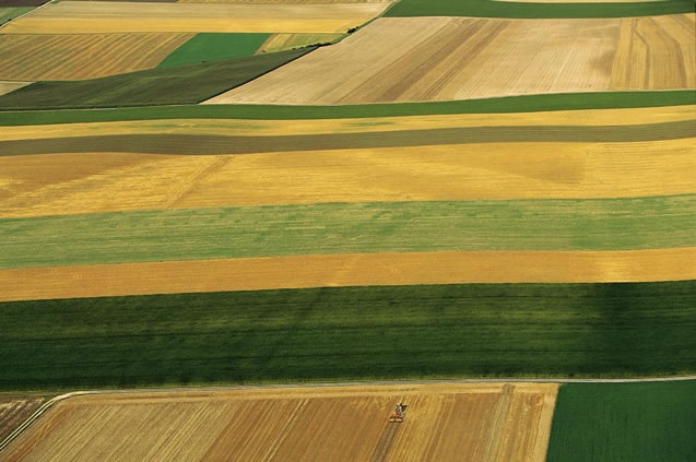 
          L'hiver, période plus calme pour les agriculteurs mais une période de transition 