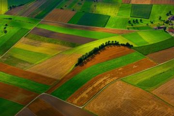 
          L’impact du changement climatique sur l’agriculture