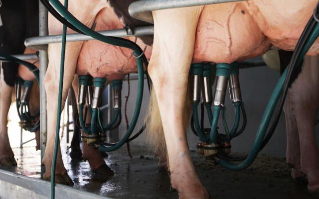 
          Revalorisation des prix du lait payés aux producteurs français