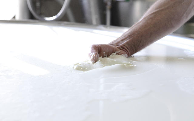 
          Le lait de vaches sans OGM