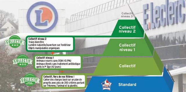 
          La commercialisation porcine