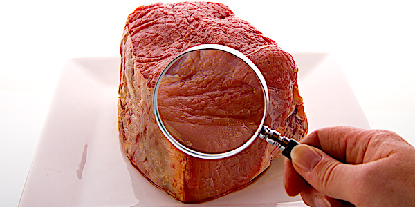 
          Filière bovine polonaise 