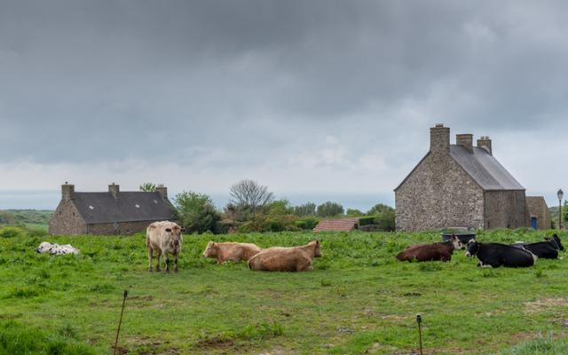 
          Agriculteurs français