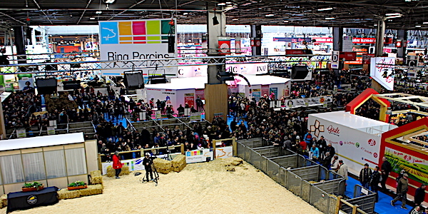 
          Ce samedi s'ouvre le salon de l'agriculture 2019