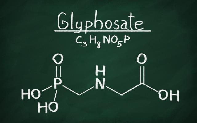 
          Glyphosate 