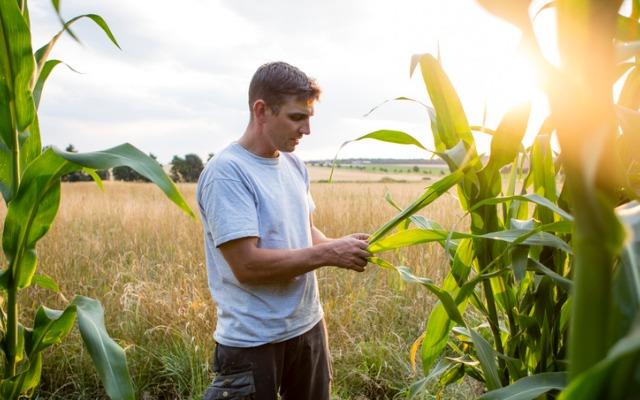 
          Agriculteurs américains