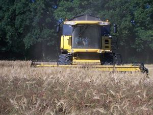 
          Produits phytosanitaires