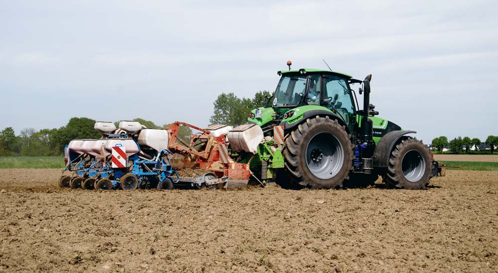 
          Semis de maïs