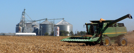 
          Stockage du grain