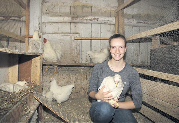 
          Poule Chantecler