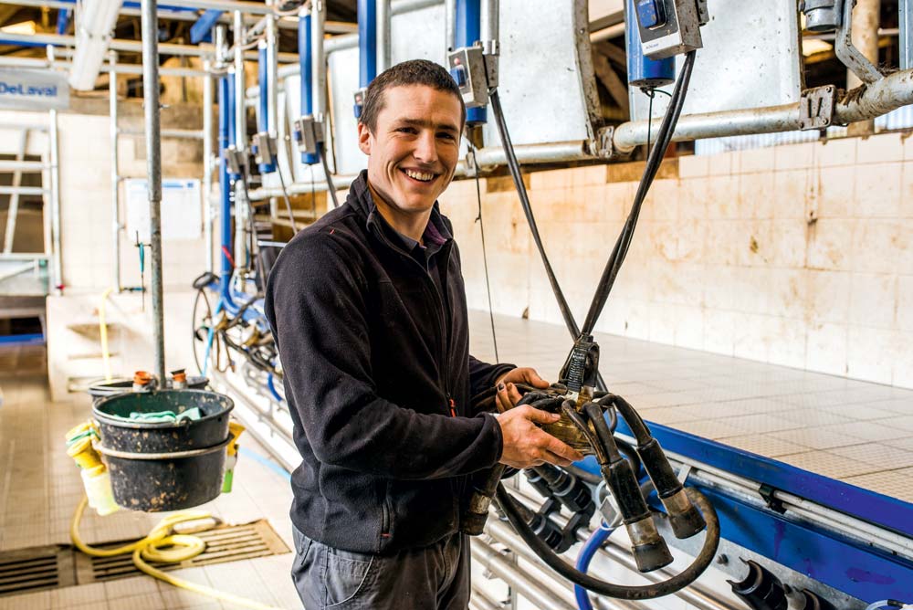 
          Traite de lait robotisée ou manuelle