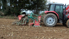 
          Semis céréales