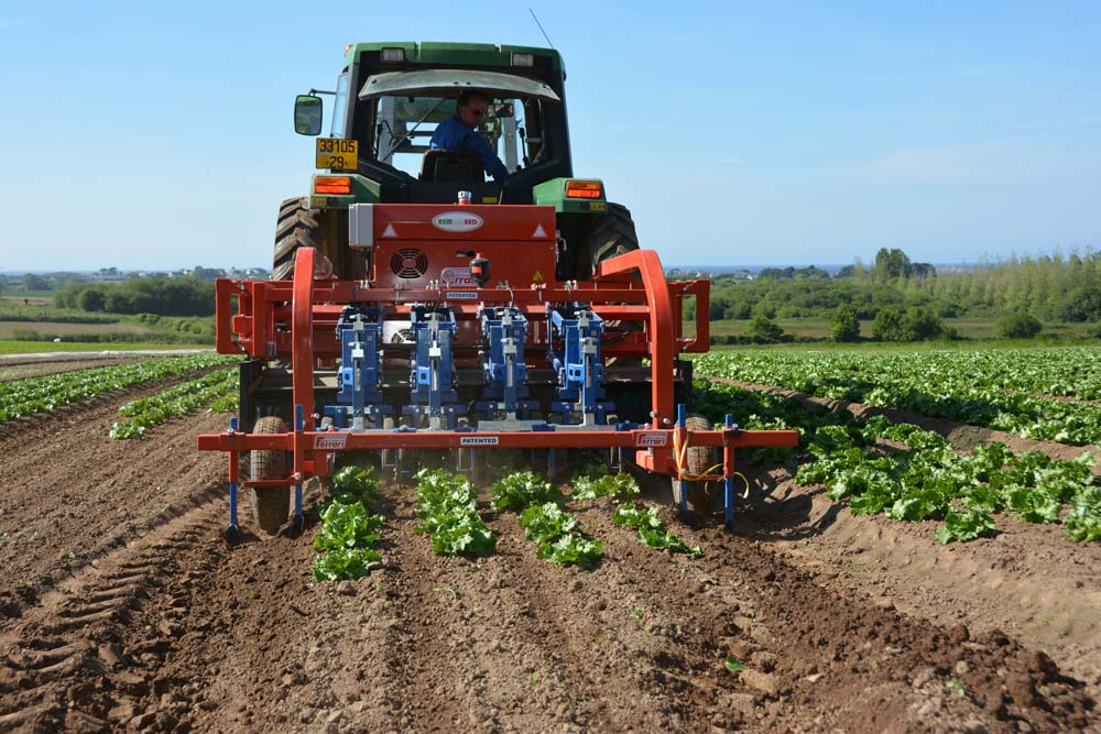 
          Légumes