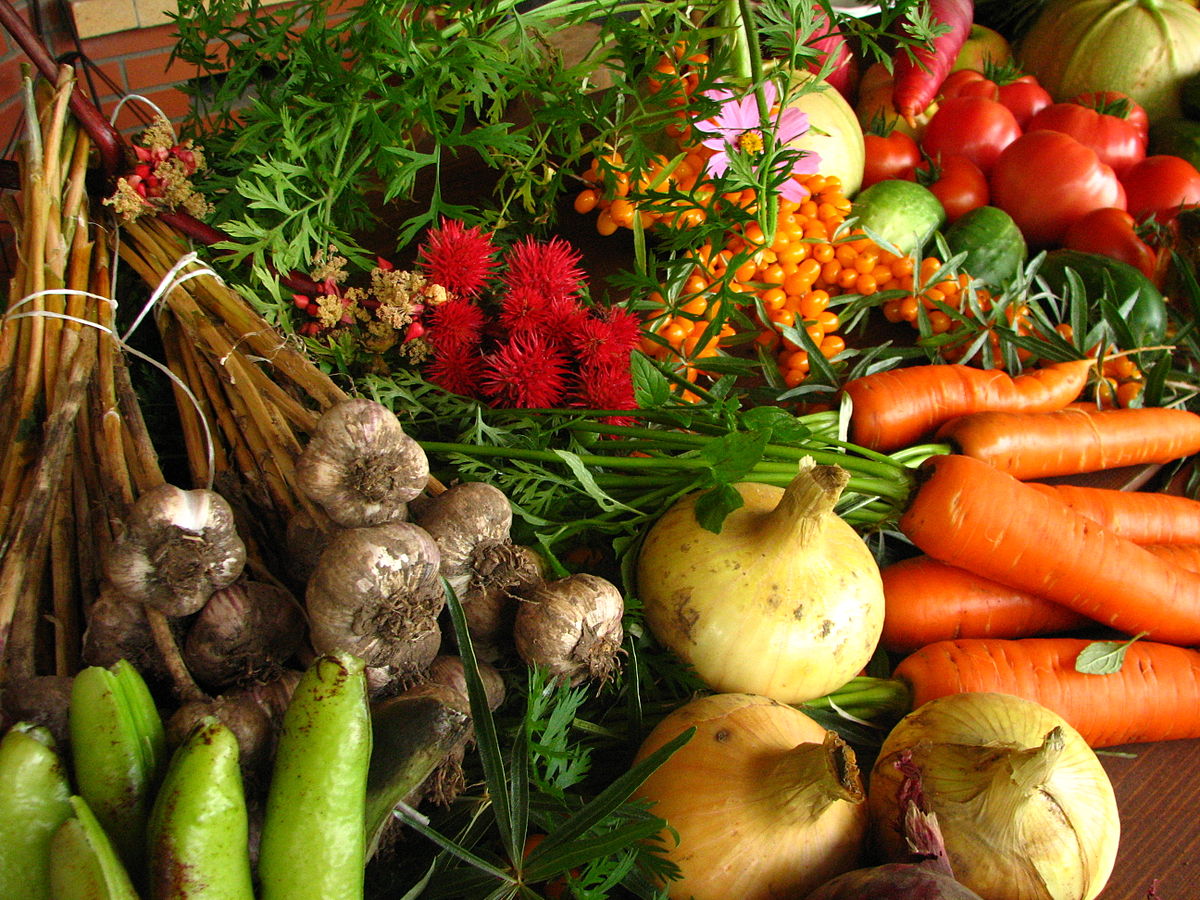 
          Agriculture biologique