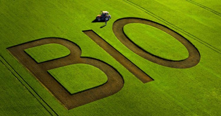
          Agriculture biologique 