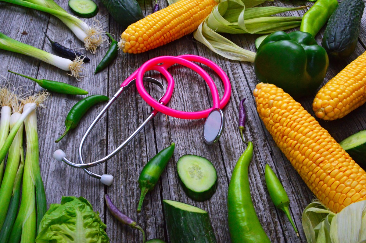 
          Agriculture biologique