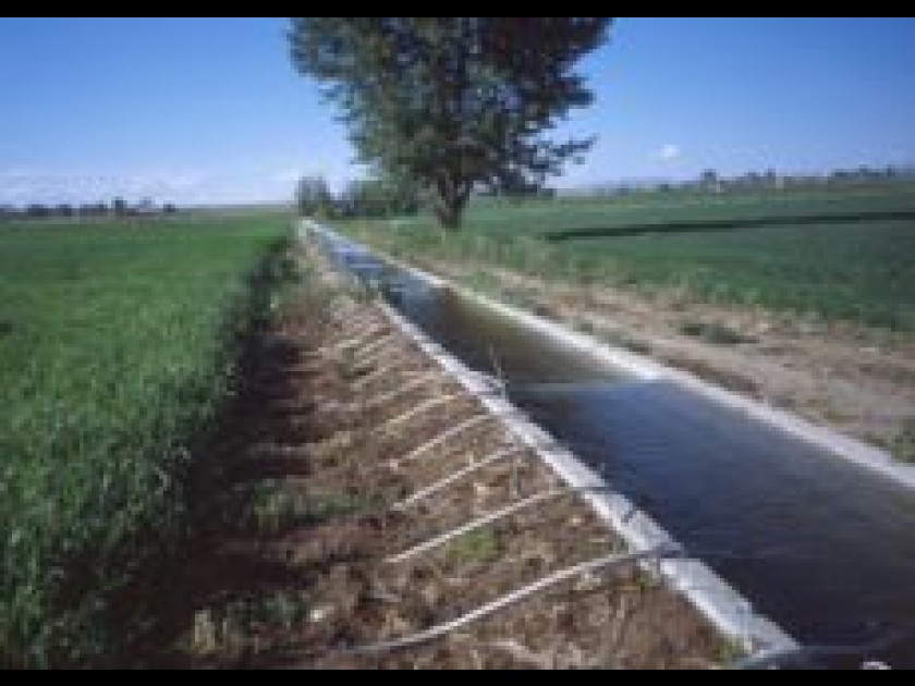 
          Système d’irrigation à pivot central sur la culture de maïs 