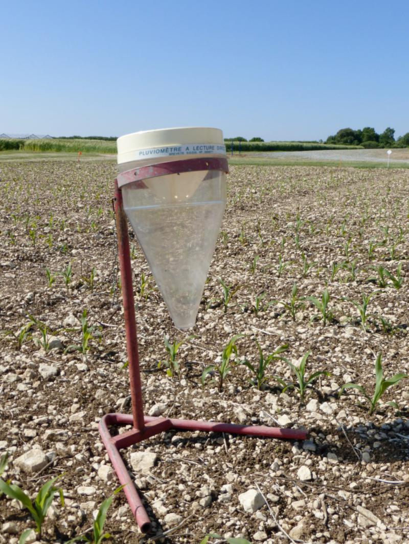 
          Irrigation : Contrôler la dose reçue par le maïs et Conseils en l'absence d'outil de pilotage