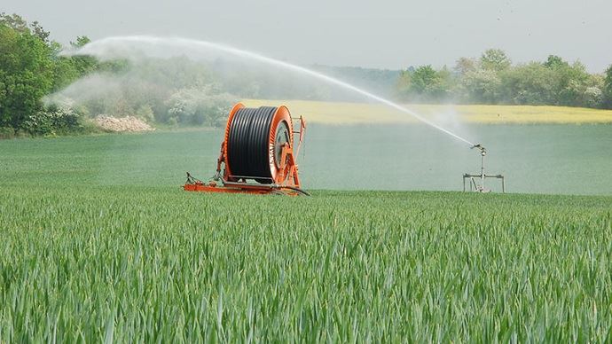 
          Éviter d’irriguer pendant une durée de huit jours environ afin de diminuer les conditions trop humides de culture du blé