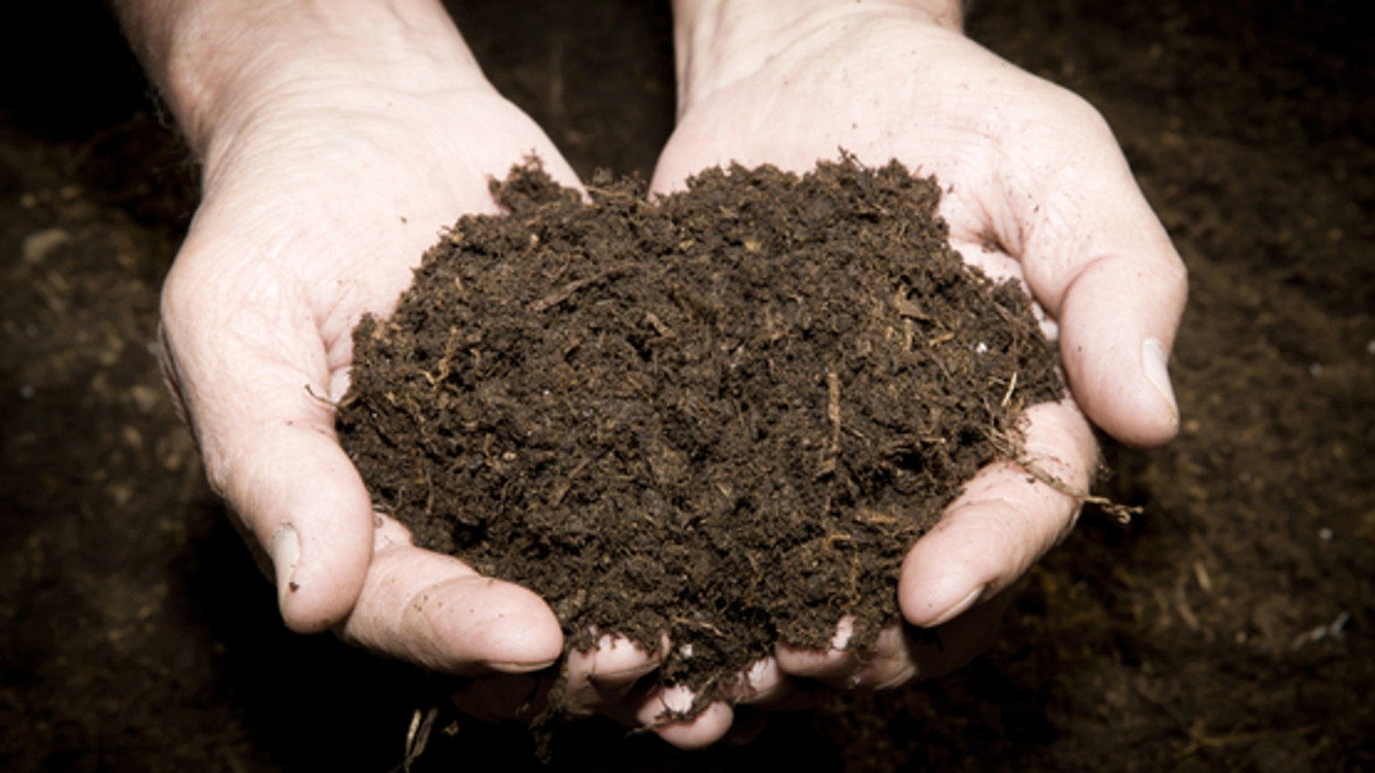 
           Les 4 principaux leviers agronomiques pour la protection fongicide du blé