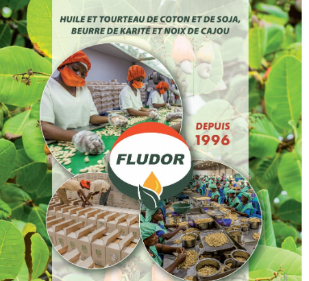 
          L'activité de transformation des noix de cajou de Fludor Bénin en faillite