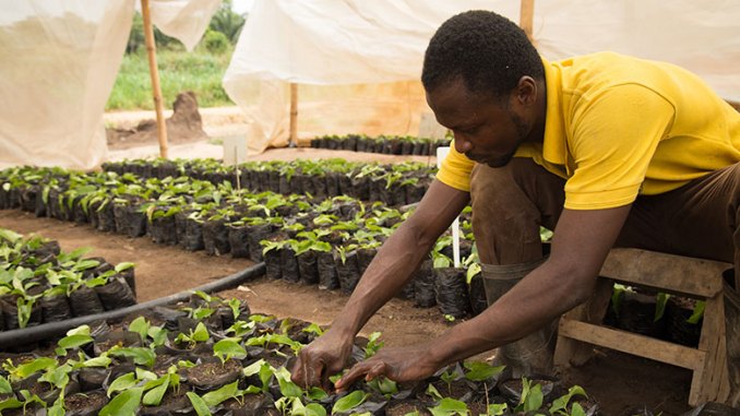 
           Malabo : Elle s’engage en faveur de l’agriculture en Afrique, les pays sont loin du compte