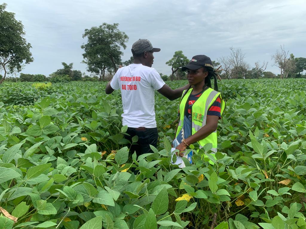 
          Soycain : Certification des parcelles de Soja à Tchamba