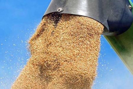 
           Marché agroalimentaire mondial : l’Afrique va encore augmenter ses importations agricoles sur les 10 prochaines années 
