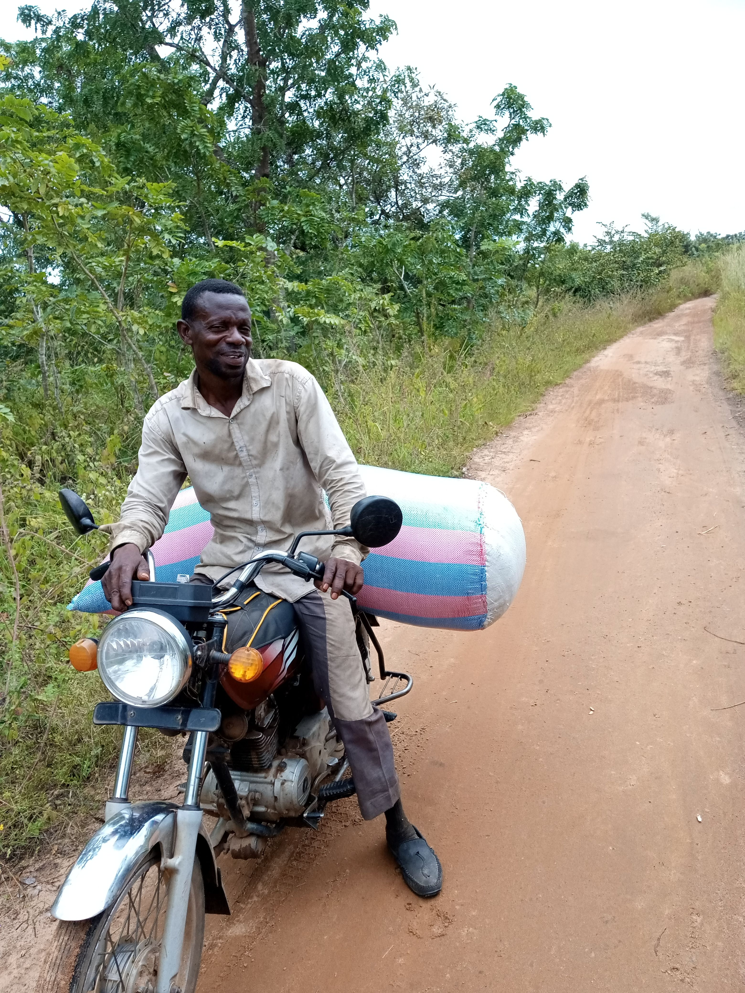 Récoltes de soja biologiques au Benin dans la commune de glazoue