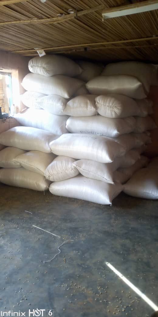 La commercialisation de soja biologiques à Soycain Benin