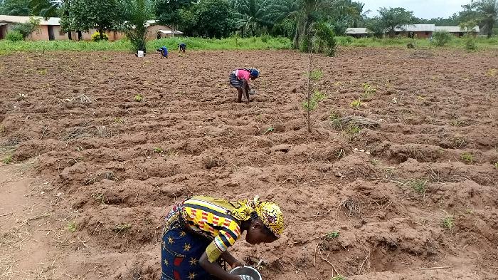 Soycain Bénin et GDAD-ONG