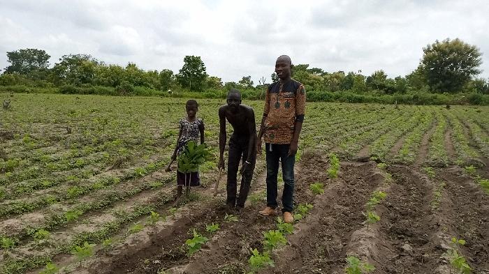 Soycain Benin et GDAD-ONG