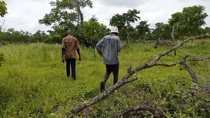 Soycain Benin et GDAD-ONG à Djidja