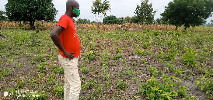 Soycain Benin et GDAD-ONG
