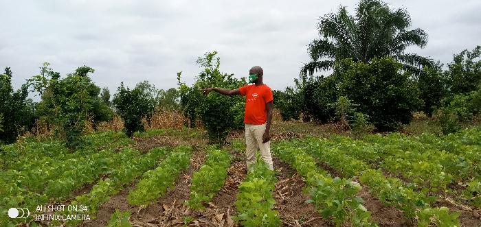 Soycain Benin et GDAD-ONG