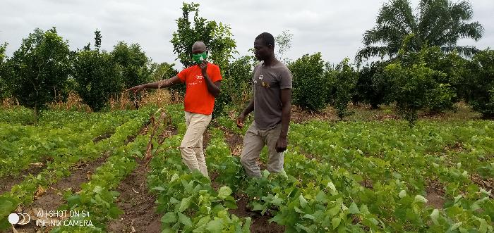 Soycain Benin et GDAD-ONG