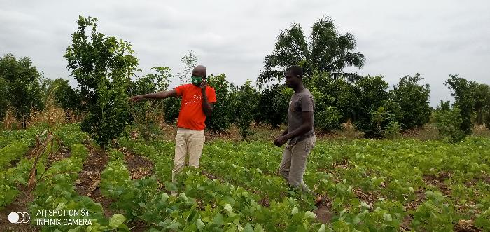Soycain Benin et GDAD-ONG