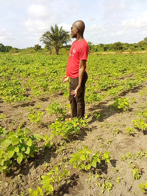 Soycain Benin et GDAD-ONG