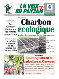 
          Culture d’ananas 