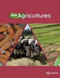 
          L’agroforesterie 