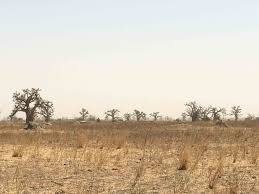 
          Terre agricole 