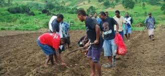 
          Jeunesse et agriculture 