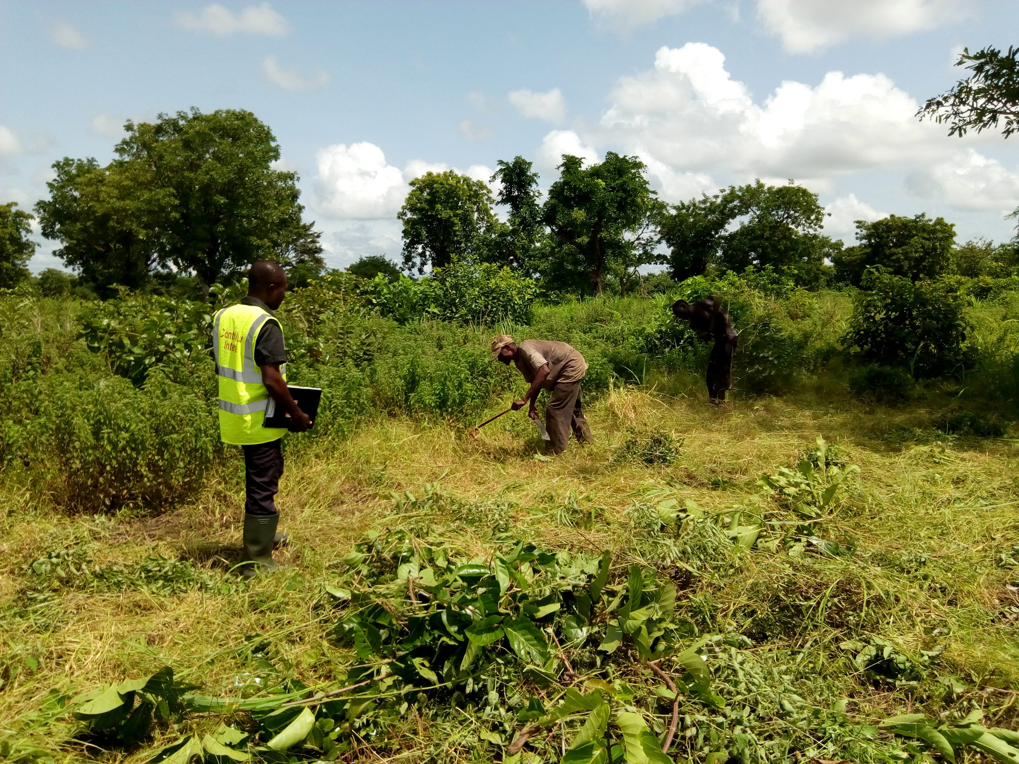 
          Les bonnes pratiques agricoles