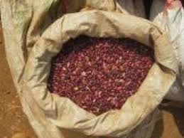 
          La Chronique Matières premières agricoles 