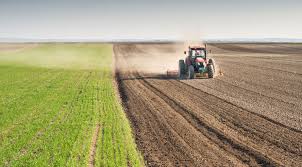 
          Entreprendre dans la production du riz en Afrique 