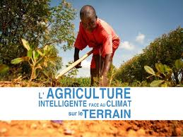 
          Agriculture intelligente face au climat 